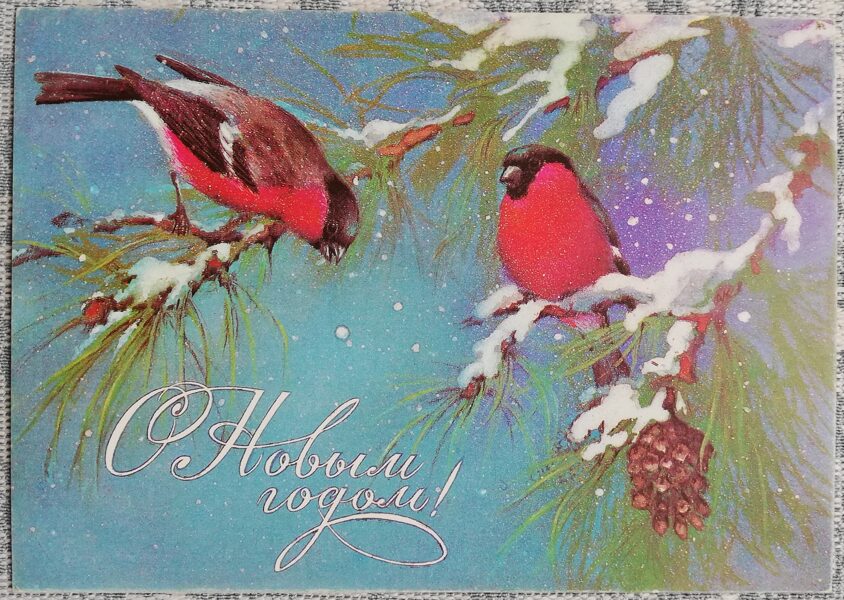 Bullfinches on a pine tree 1985 New Year card of the USSR 15x10.5 cm   