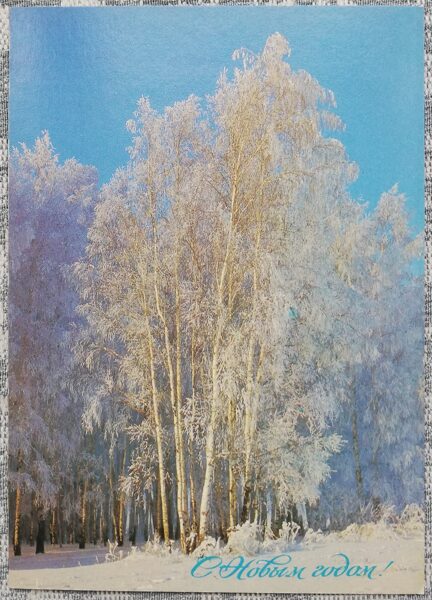 "Happy New Year!" 1988 New Year postcard of the USSR Birch forest in winter 10.5x15 cm 