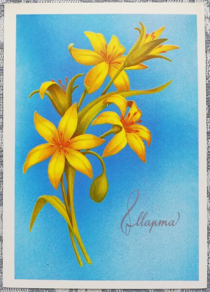 "March 8" 1987 greeting card of the USSR Wild tulip 10,5x15 cm 