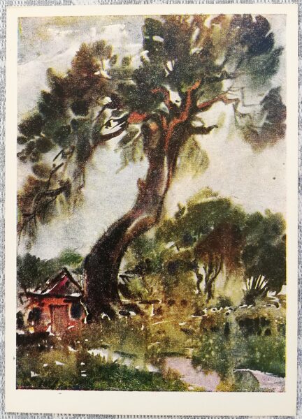 Oļģerts Urbāns 1961 "Priede Ragciemā" pastkarte 10,5x15 cm  