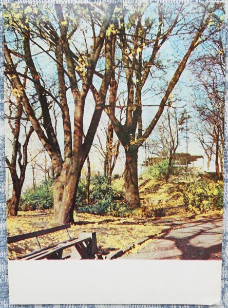 Bastejkalns 1968 Rīga 10x14 cm PSRS pastkarte 