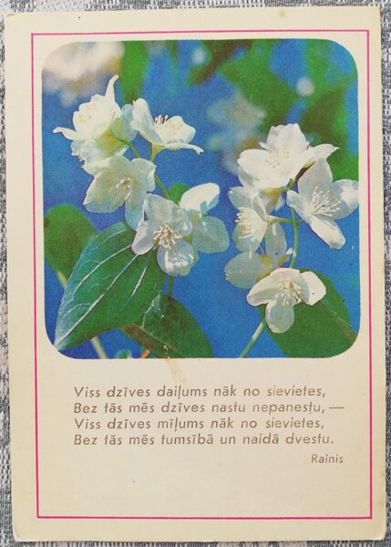 "March 8" 1975 postcard USSR 10.5x15 cm Jasmine Rainis 