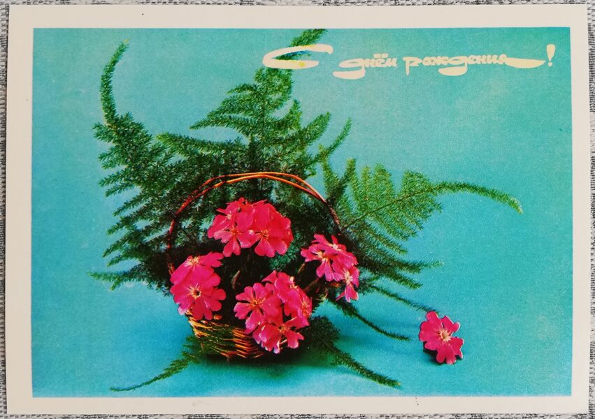 «С днём рождения!» 1979 Флоксы 10,5x15 см открытка СССР  
