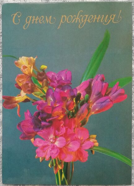«С днём рождения!» 1985 Амариллис 10,5x15 см открытка СССР   
