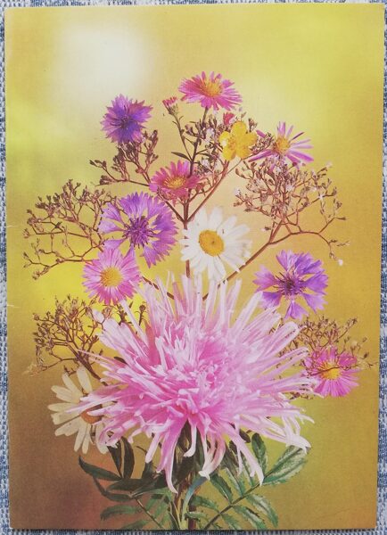 «С днём рождения!» 1988 Астры и ромашки 10,5x15 см открытка СССР   