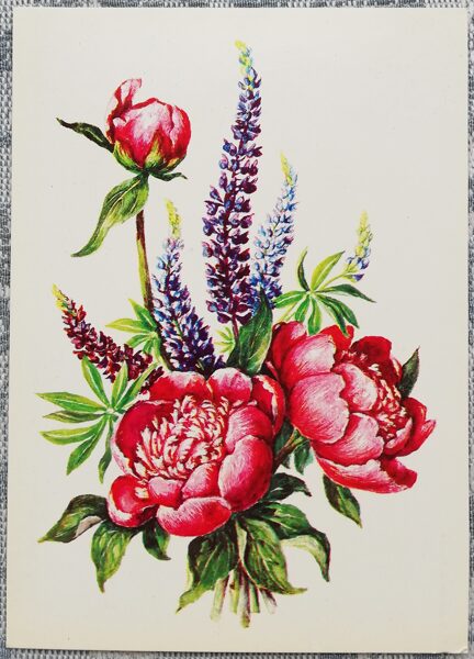 Flowers 1983 postcard USSR 10.5x15 cm Red peonies  