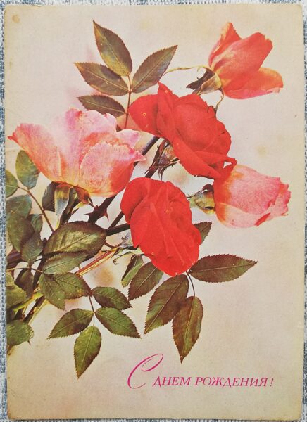 Красные розы 1974 С Днём Рождения 10,5 x 15 см открытка СССР     
