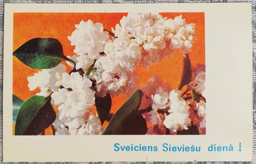 "Congratulations on Women's Day!" 1977 postcard USSR 14x9 cm White lilac  
