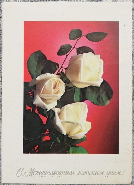 "Happy International Women's Day!" 1983 USSR postcard 10.5x15 cm White roses  