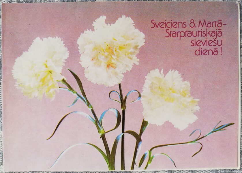 "March 8" 1989 White carnations 15x10.5 cm USSR postcard  