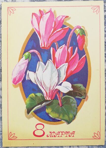 "March 8" 1978 Cyclamen 10.5x15 cm USSR postcard  