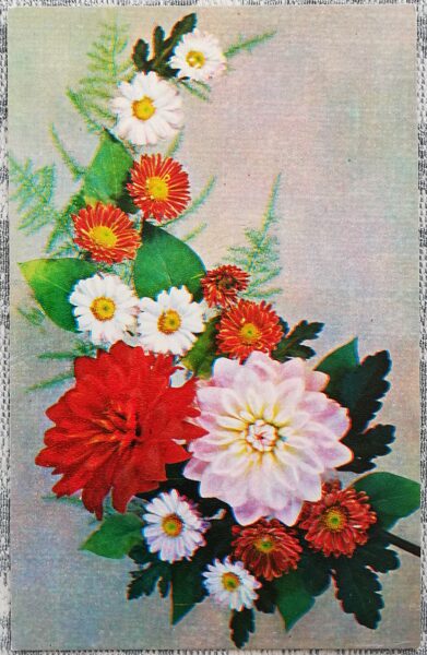 С днём рождения! 1975 Георгины, хризантемы, ромашки 9x14 см открытка СССР  
