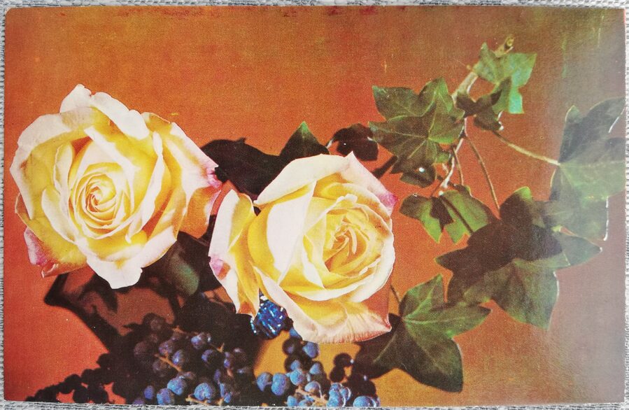 1975 Roses and dark grapes 14x9 cm flowers USSR postcard  