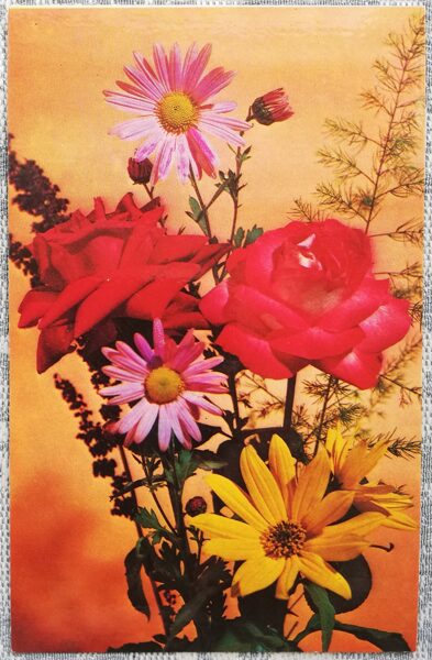 1975 Roses 9x14 cm flowers postcard USSR  
