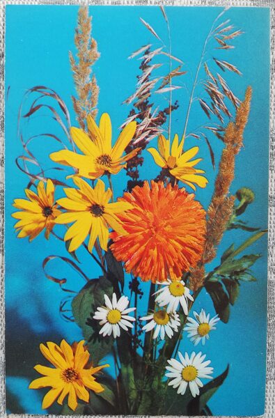 1975 Bouquet with daisies 9x14 cm flowers postcard USSR  