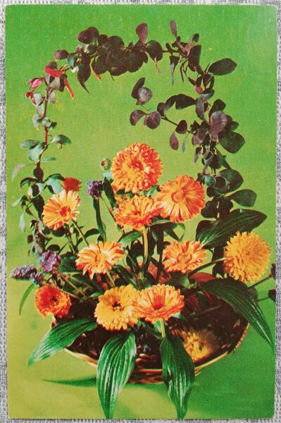 1975 Golden autumn 9x14 cm flowers postcard USSR  