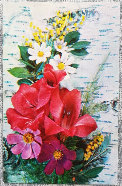 1975 Gladiolus and mimosa 9x14 cm flowers USSR postcard  