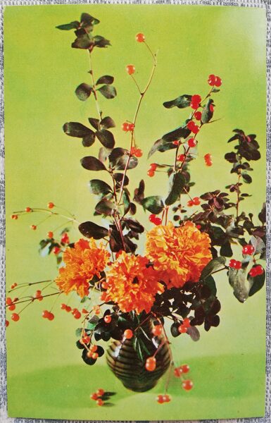 1975 Amber coast 9x14 cm flowers postcard USSR  