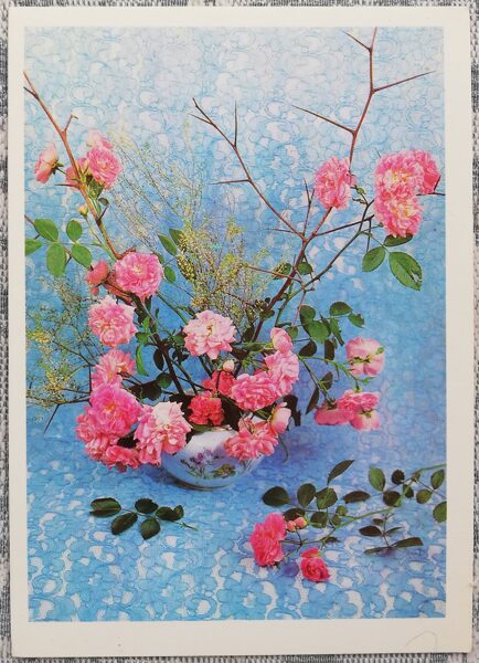 1975 Wild roses 10.5x15 cm flowers postcard USSR 
