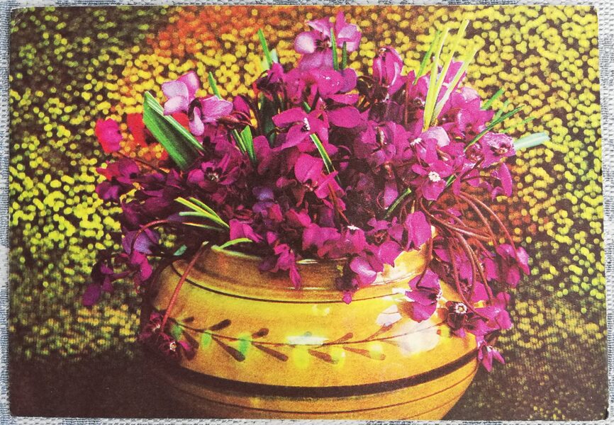 1975 Flowers 15x10.5 cm USSR postcard  
