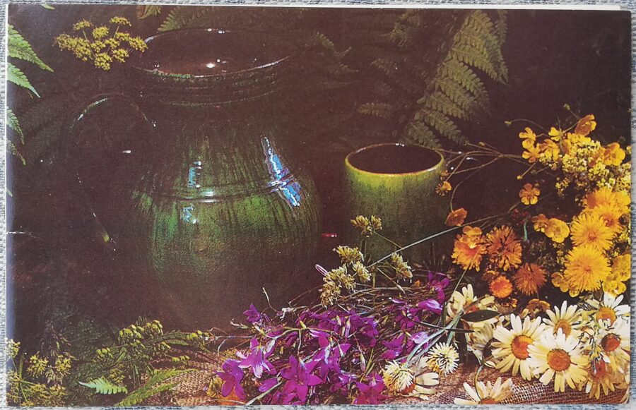 Apsveikuma pastkarte 1988. gada "Jāņa diena" 14x9 cm Avots 