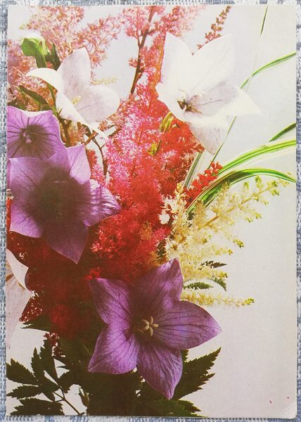 Bouquet 1988 flowers 10.5x15 cm Latvian postcard  