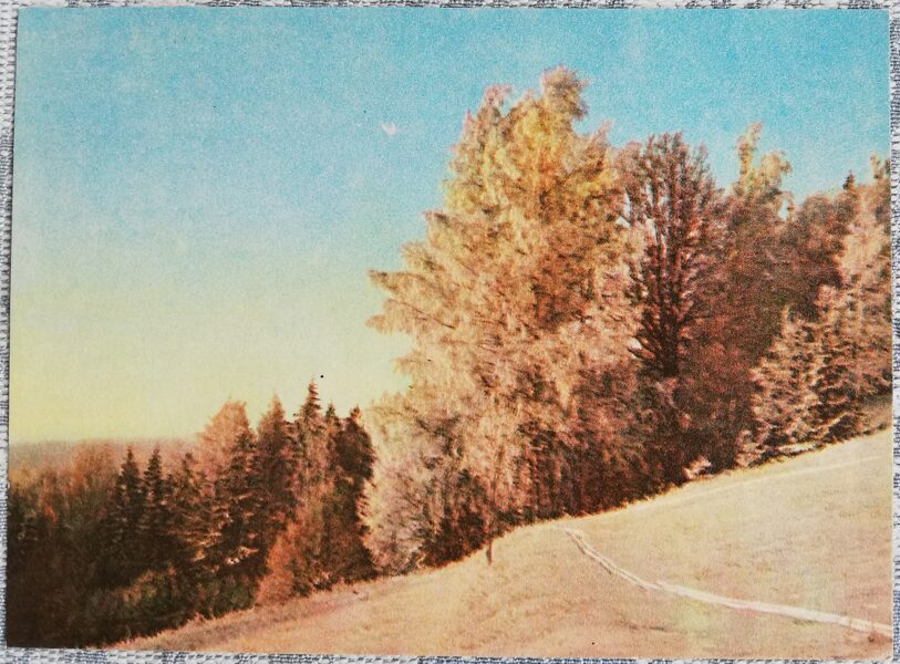 Winter on the Vidzeme Upland 1965 Latvia 14x10 cm view postcard  