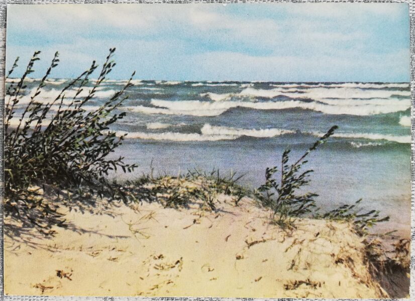 Baltic Sea in autumn 1963 Latvia 14x10.5 cm postcard  