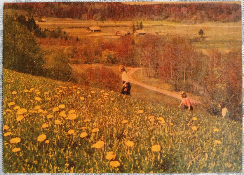Abavas senleja starp Sabili un Kandavu 1968 Latvija 14x10 cm pastkarte  