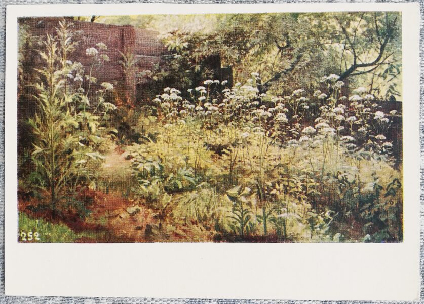 Ivan Shishkin 1958 "Miega zāle" 15x10.5 cm USSR art postcard   