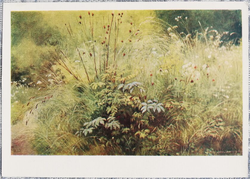 Ivans Šiškins 1958 Zāles 15x10,5 cm PSRS mākslas pastkarte     