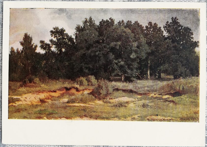 Ivans Šiškins 1957 Ozolu mežs pelēkā dienā 15x10,5 cm PSRS mākslas pastkarte  