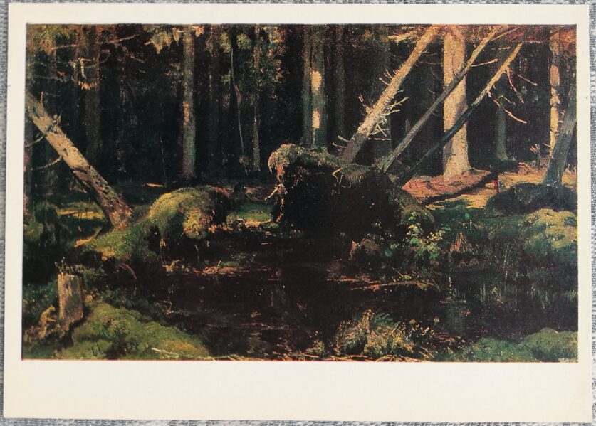 Ivans Šiškins 1981 Vējlauza 15x10,5 cm PSRS mākslas pastkarte  