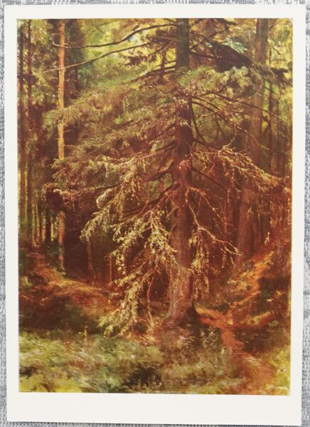 Ivans Šiškins 1968 "Egle" 10,5x15 cm mākslas pastkarte PSRS  