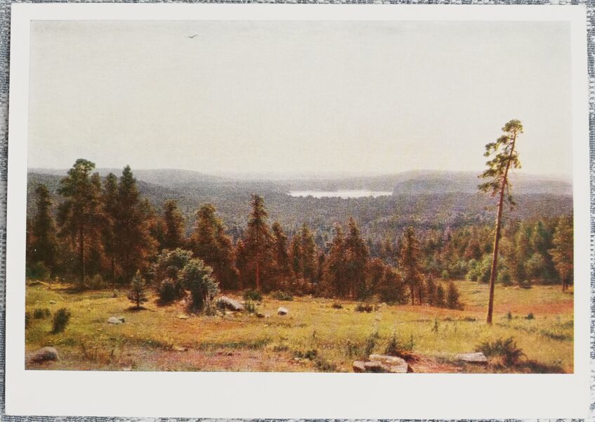 Ivans Šiškins 1968 "Meža distances" 15x10,5 cm mākslas pastkarte PSRS  