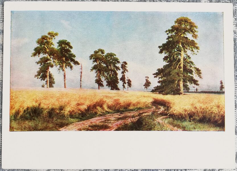 Ivans Šiškins 1965 "Rudzi" 15x10,5 cm PSRS mākslas pastkarte  