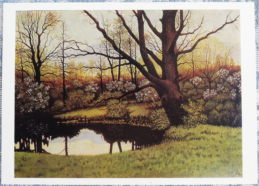 Evcihovičs E.J. 1976 "Parastā ieva zied" 15x10,5 cm PSRS mākslas pastkarte  