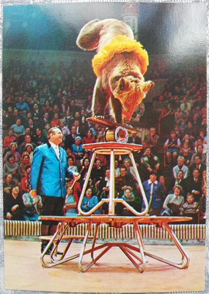 Цирк 1979 Аттракцион «Медвежий цирк», дрессировщик Валентин Филатов 10,5x15 см открытка СССР  