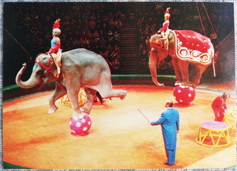 Cirks 1979 Atrakcija "Ziloņi un dejotājas" Anatolija Korņilova vadībā 15x10,5 cm PSRS pastkarte  