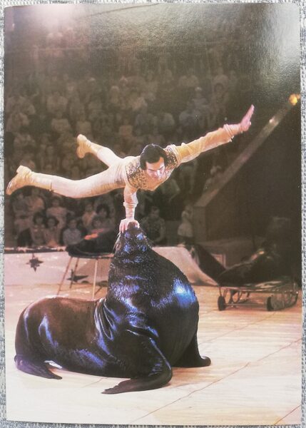 Cirks 1986 Dresētas jūras lauvas Vasilijs Timčenko 10,5x15 cm PSRS pastkarte  