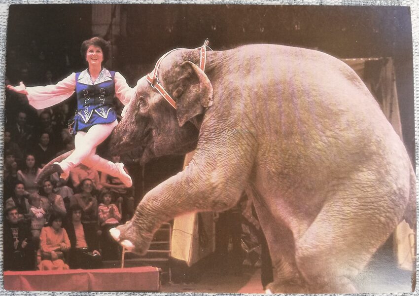Cirks 1986 Dresētāja Tatjana Filatova 15x10,5 cm PSRS pastkarte  
