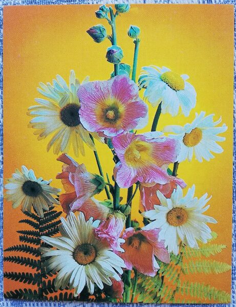 Flowers 1984 Daisies and ferns 7x9 cm MINI USSR postcard  