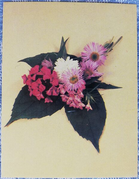 Flowers 1984 MINI 7x9 cm USSR postcard  