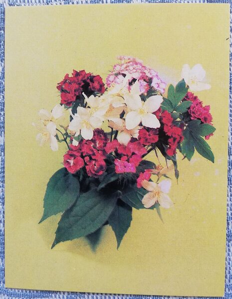 Flowers 1984 MINI 7x9 cm USSR postcard  