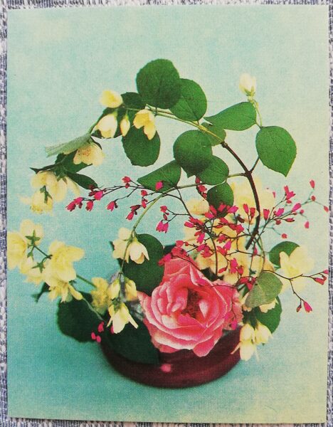 Flowers 1984 Jasmine 7x9 cm MINI USSR postcard  