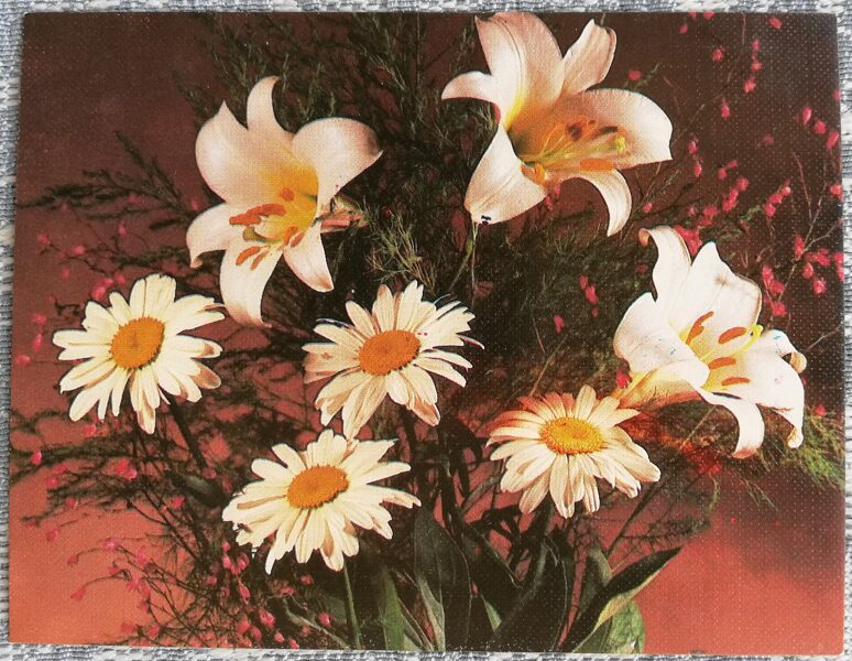 Flowers 1984 Daisies and lilies 9x7 cm MINI USSR postcard  