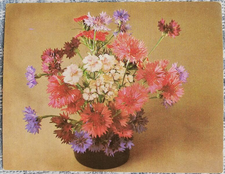 Flowers 1984 Cornflowers 9x7 cm MINI USSR postcard  