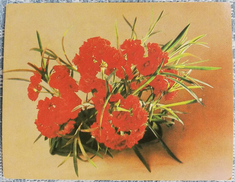 Flowers 1984 MINI 9x7 cm USSR postcard 
