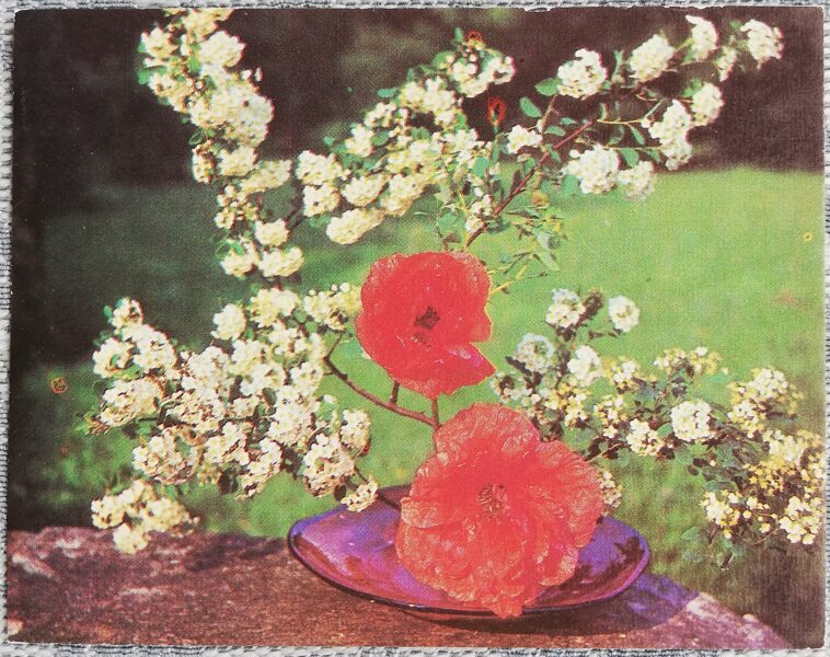 Flowers 1987 Red poppies and hawthorn 9x7 cm MINI USSR postcard 