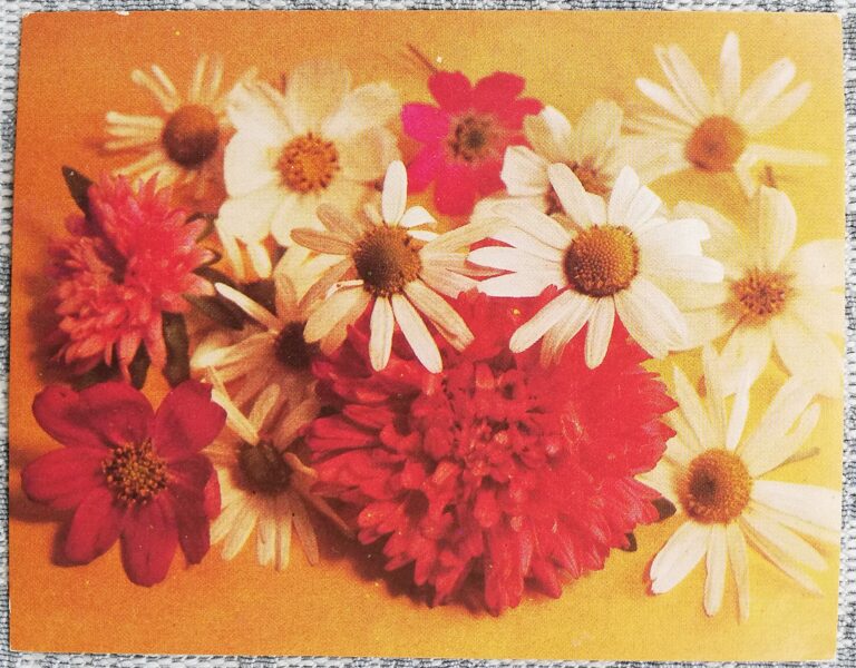 Flowers 1987 Daisies 9x7 cm MINI USSR postcard  